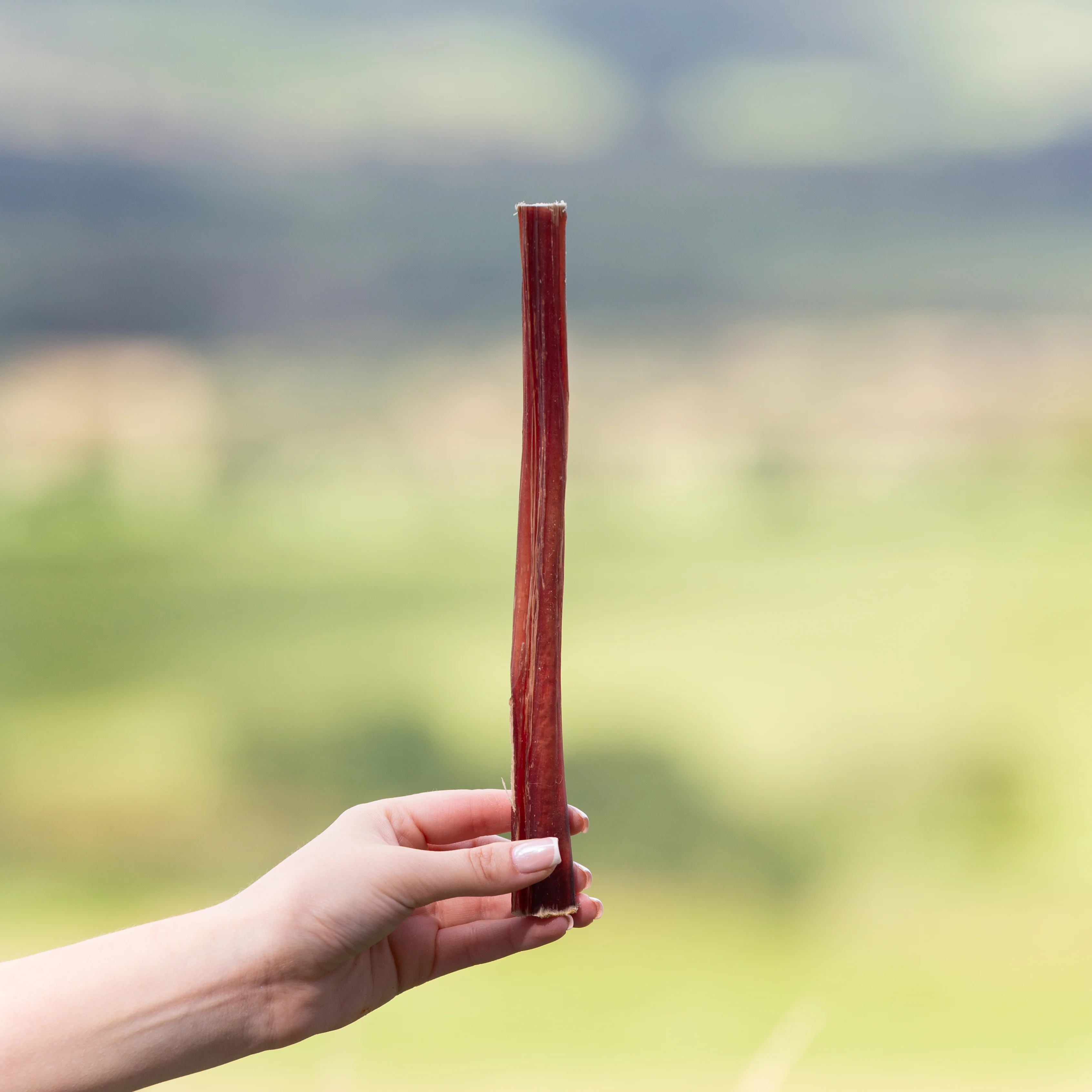 Pizzles 24cm - Image 3